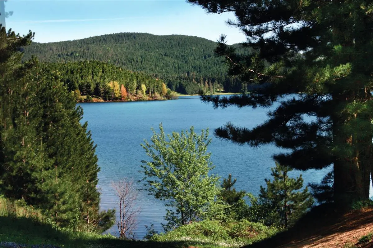 Alla scoperta dei parchi nazionali calabresi: Pollino, Sila, Aspromonte