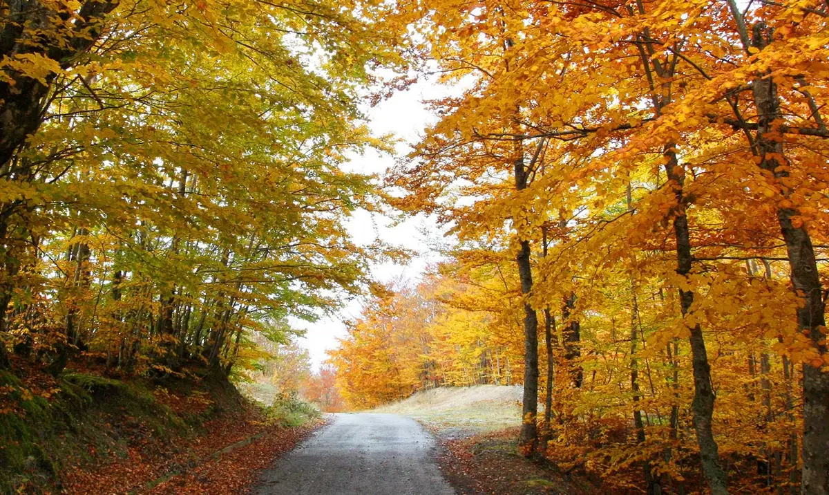 Foliage in Calabria: i posti dove ammirarlo