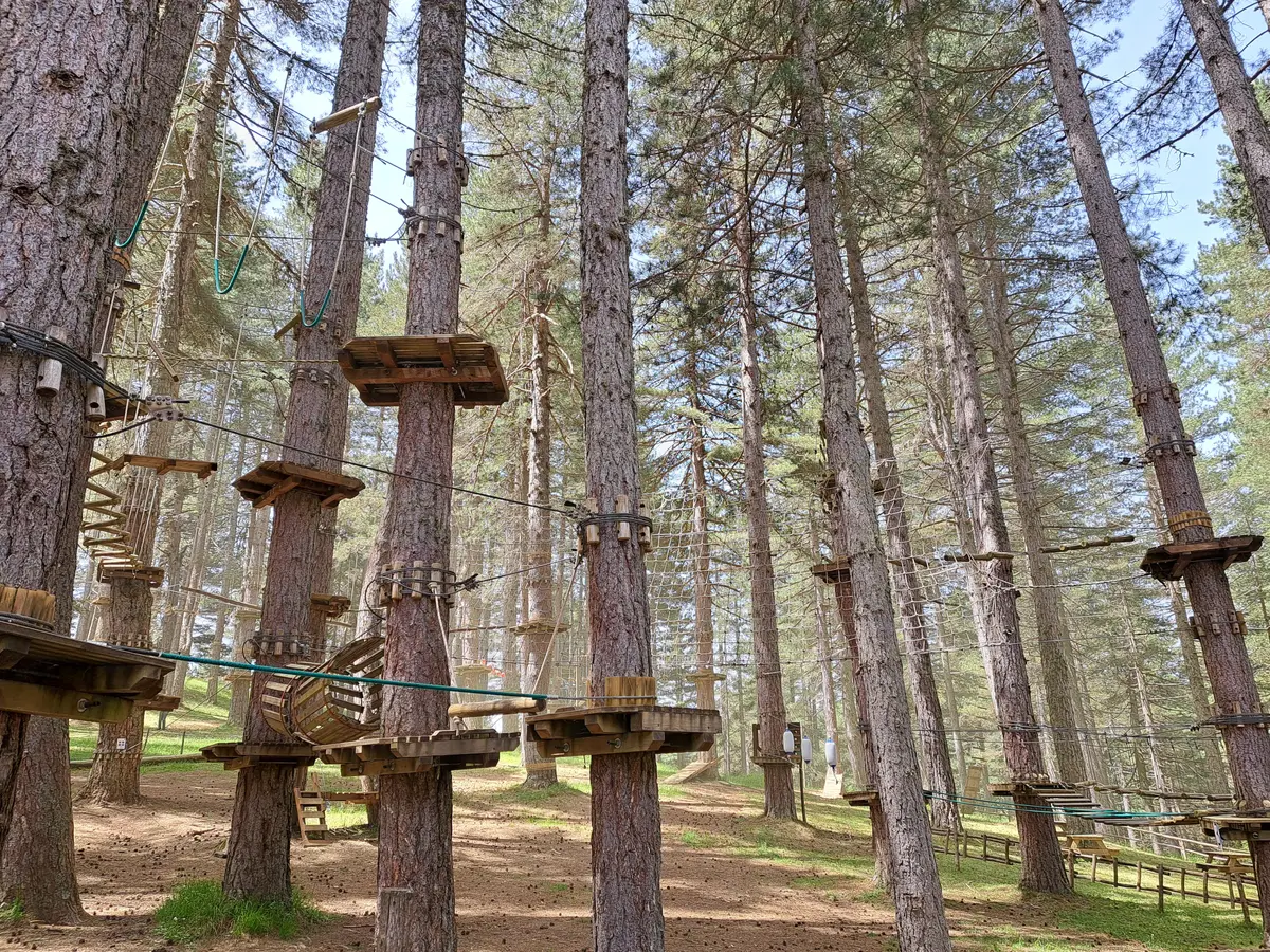 Parchi avventura in Calabria: divertimento assicurato