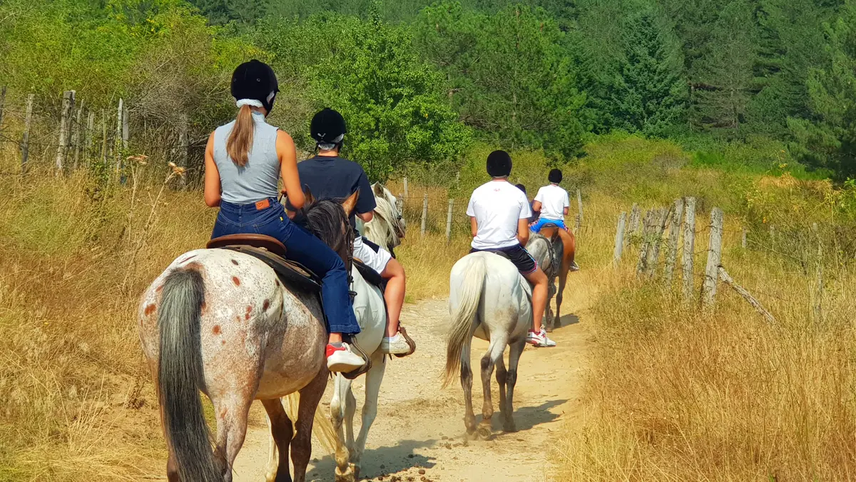 <p><strong>Horseback riding</strong> is among the most popular eco-friendly experiences in <strong>Sila</strong>, a unique opportunity to explore the ancient paths of the <strong>National Park</strong>, once trodden by shepherds and brigands.</p><p>Accompanied by experienced instructors, you will ride through centuries-old larch and fir forests, enjoying an immersive and relaxing experience in close contact with nature. Breathing the pure air of the plateau and moving in harmony with the environment makes horseback riding not only a recreational activity, but also an opportunity to appreciate and respect Sila's natural heritage.</p><p>The expert guide enriches the route with stories and information, guaranteeing a safe and engaging experience. </p>