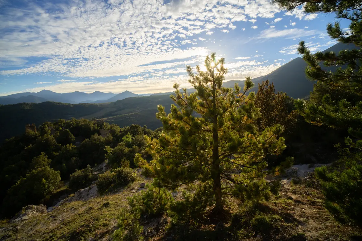 Cammino Mariano del Pollino: Trail 3
